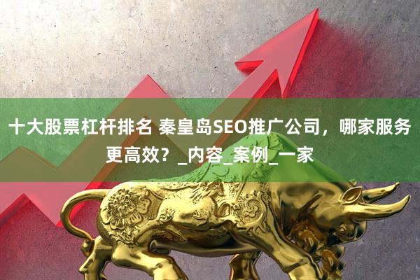 十大股票杠杆排名 秦皇岛SEO推广公司，哪家服务更高效？_内容_案例_一家