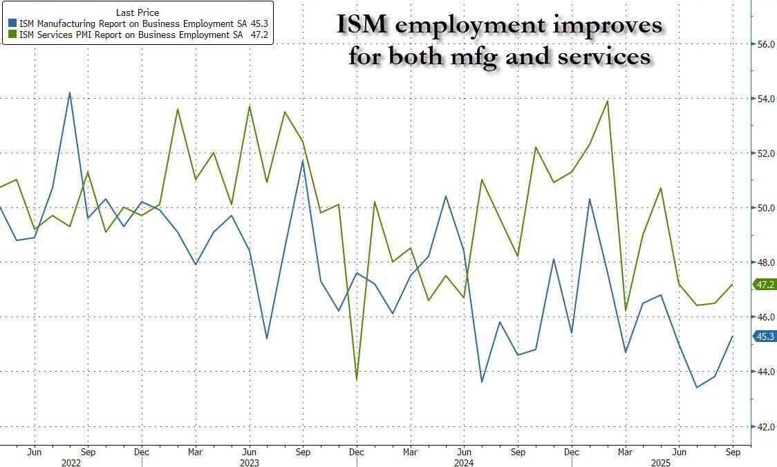 风险提示及免责条款